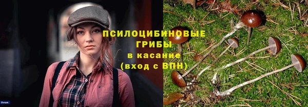 герыч Арсеньев