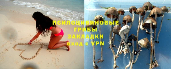 молекула духа Аркадак