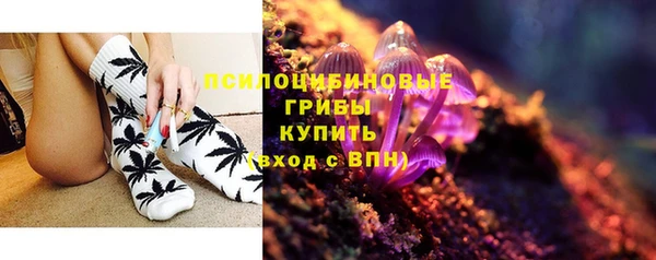 молекула духа Аркадак